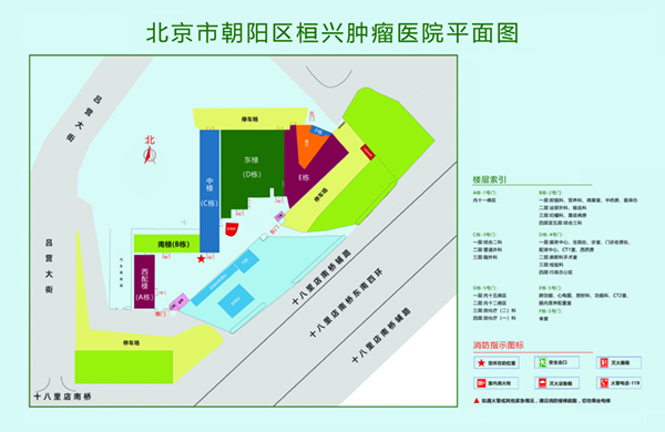 操逼穴网址北京市朝阳区桓兴肿瘤医院平面图